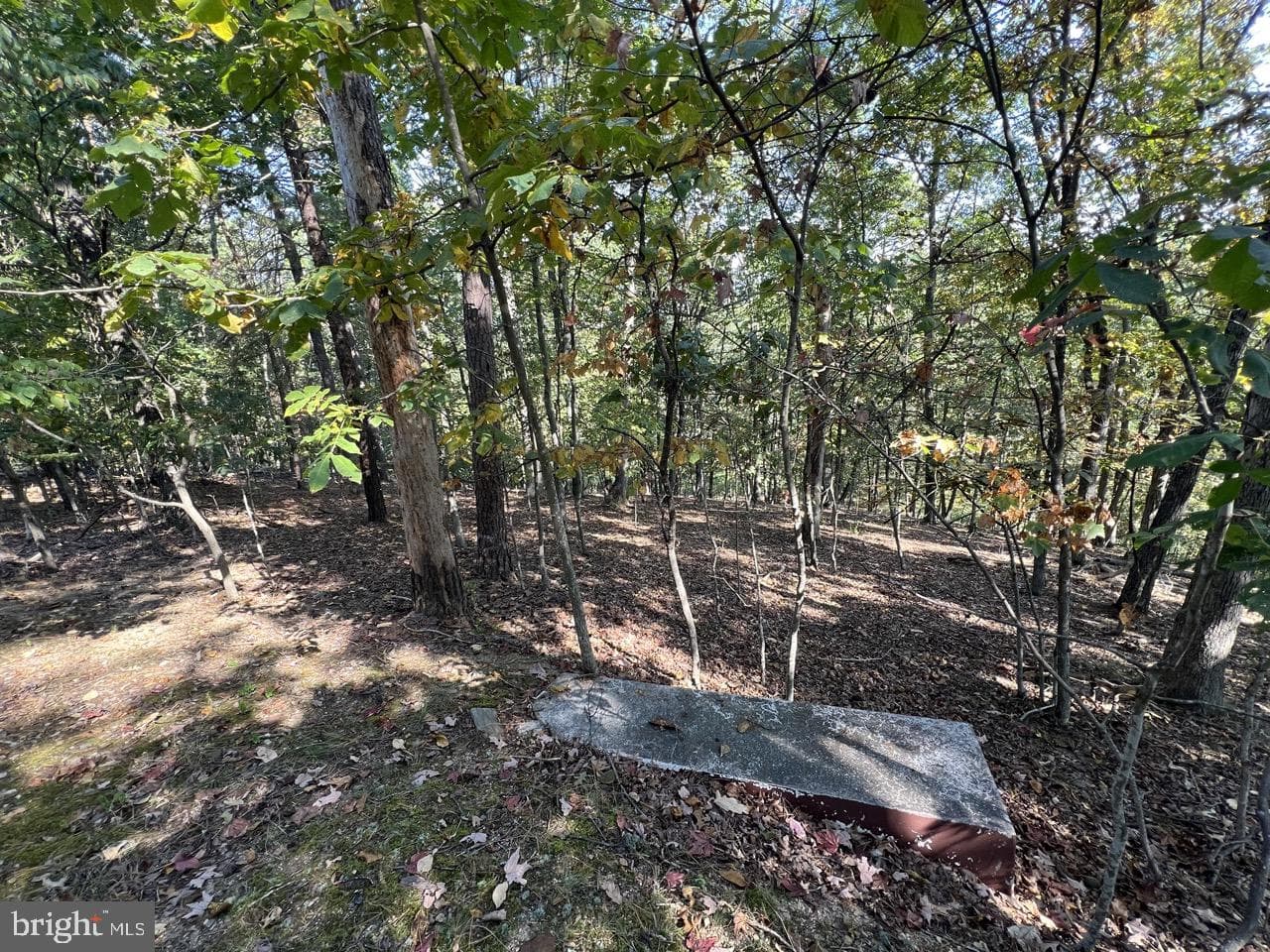 229 Carmel Court photo 14