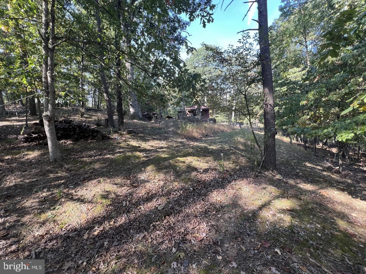 229 Carmel Court photo 15