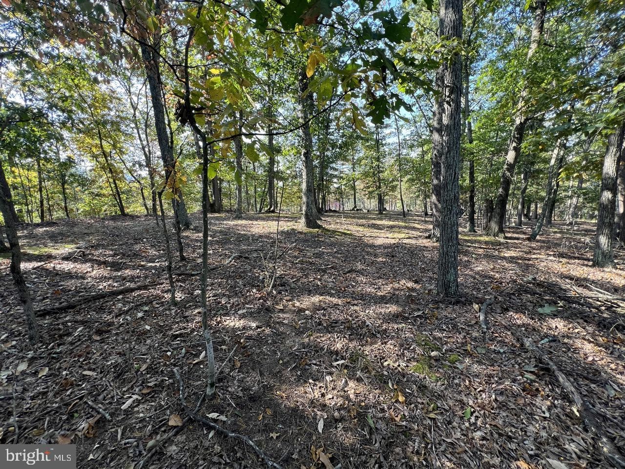 229 Carmel Court photo 18