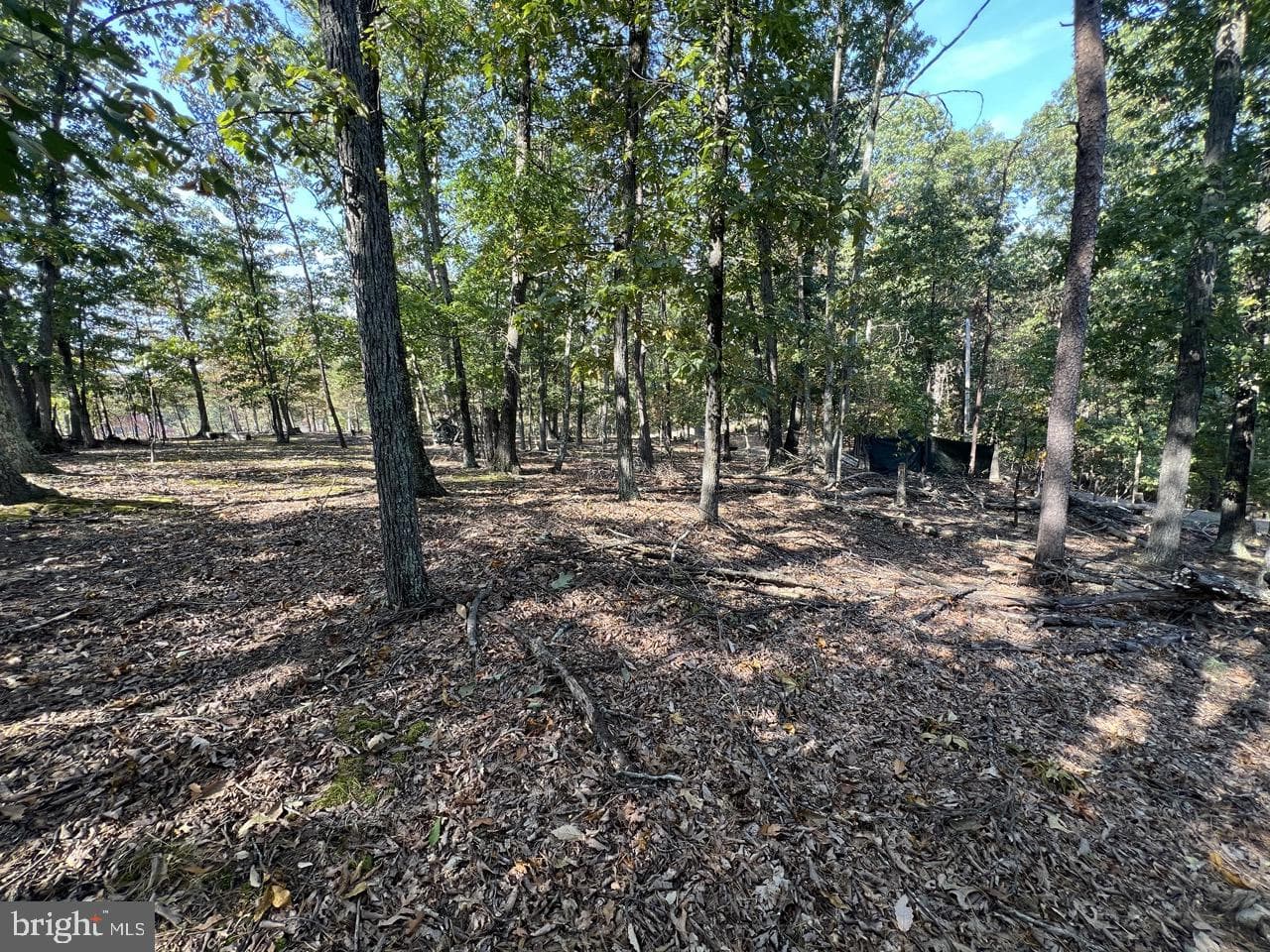 229 Carmel Court photo 19