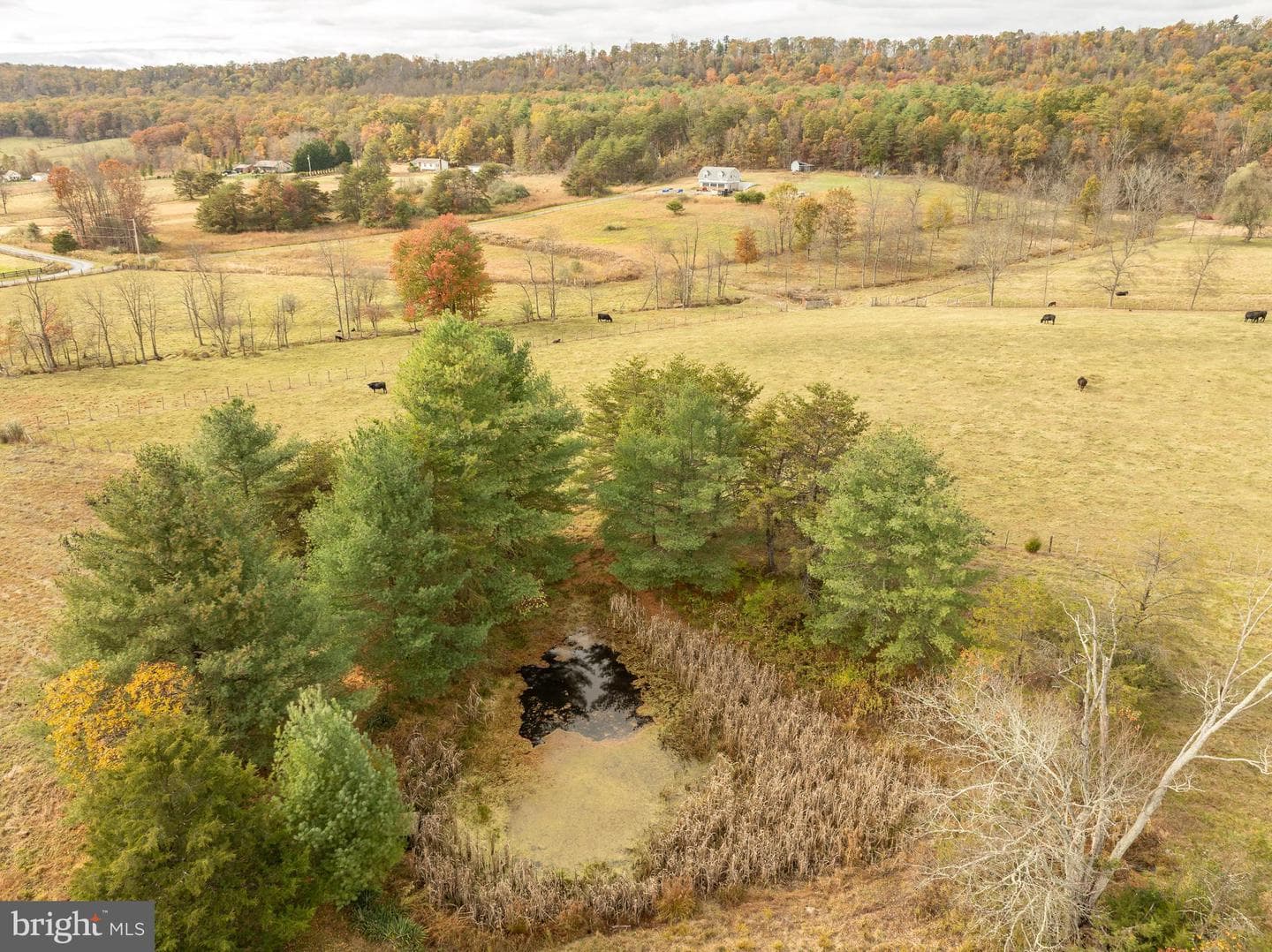 4485 Smokey Hollow Rd photo 75