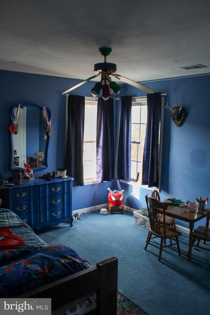 68 Scenic Drive photo 18