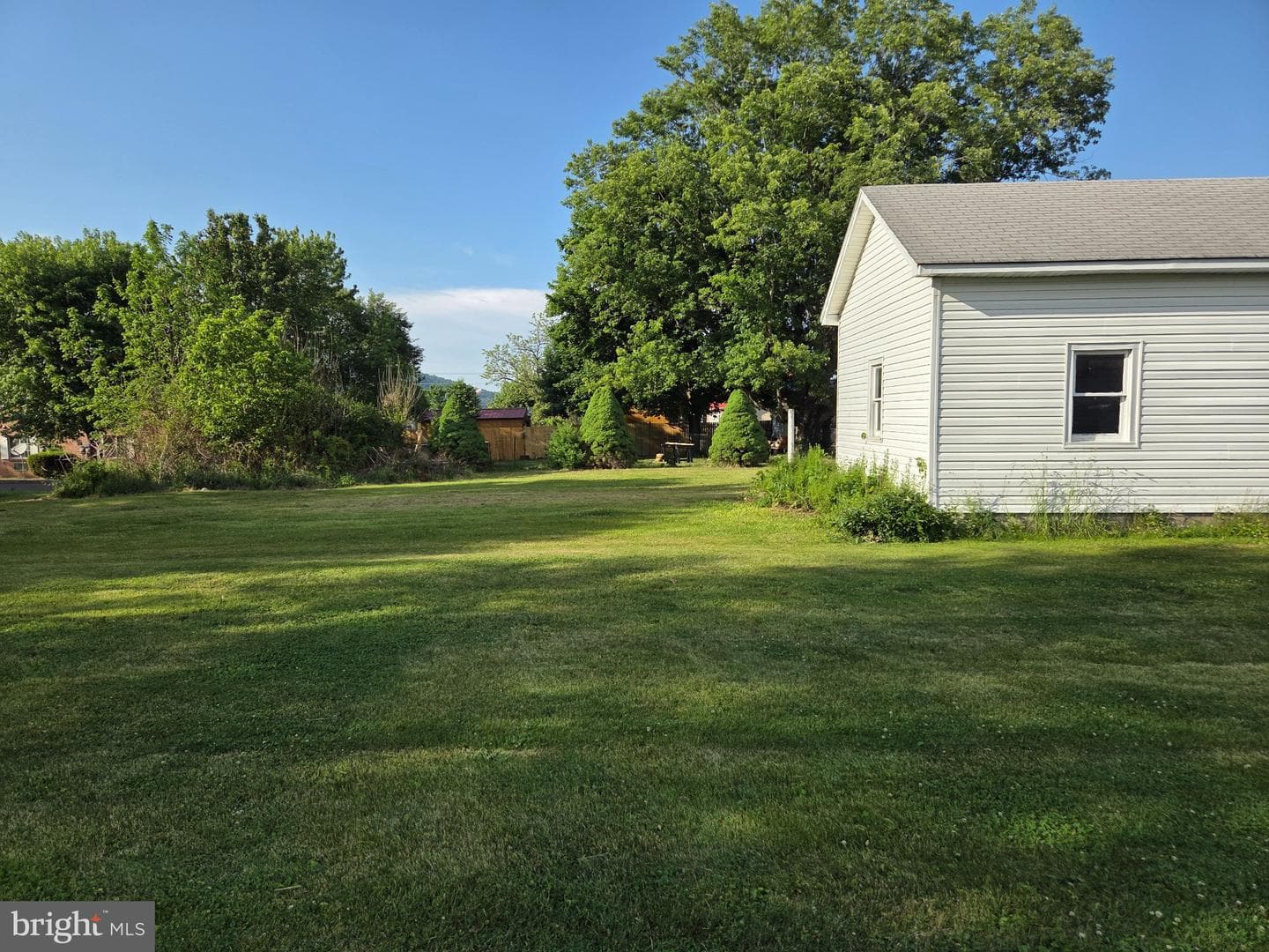 439 Elk Place photo 10