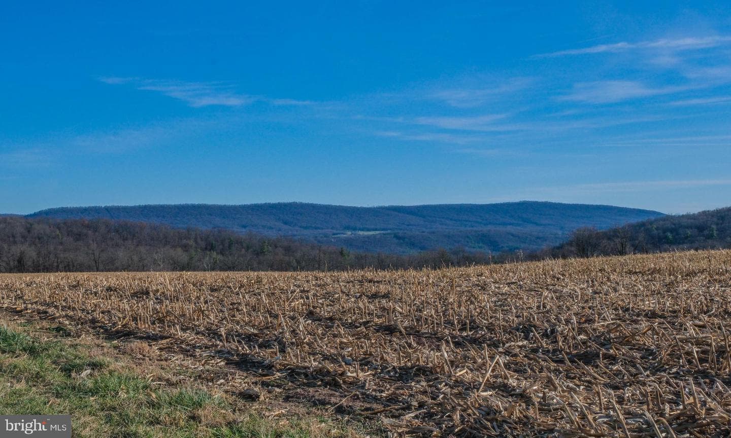 15462 Jersey Mountain Road photo 55
