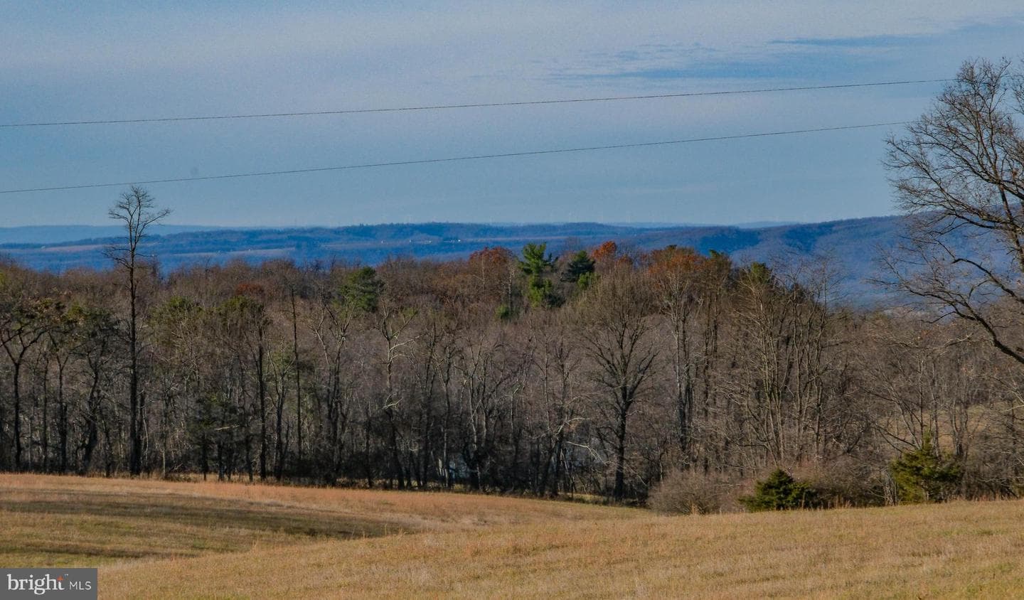 15462 Jersey Mountain Road photo 56