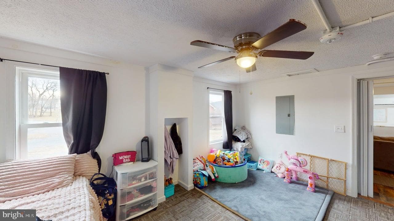 351 Elk Place photo 35