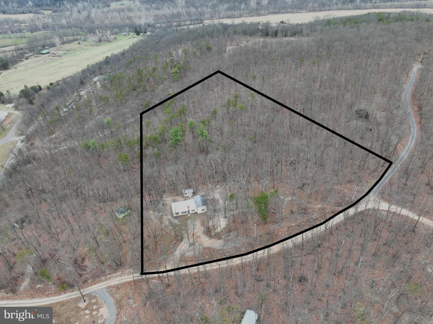 239 Bird Ridge Road photo 15