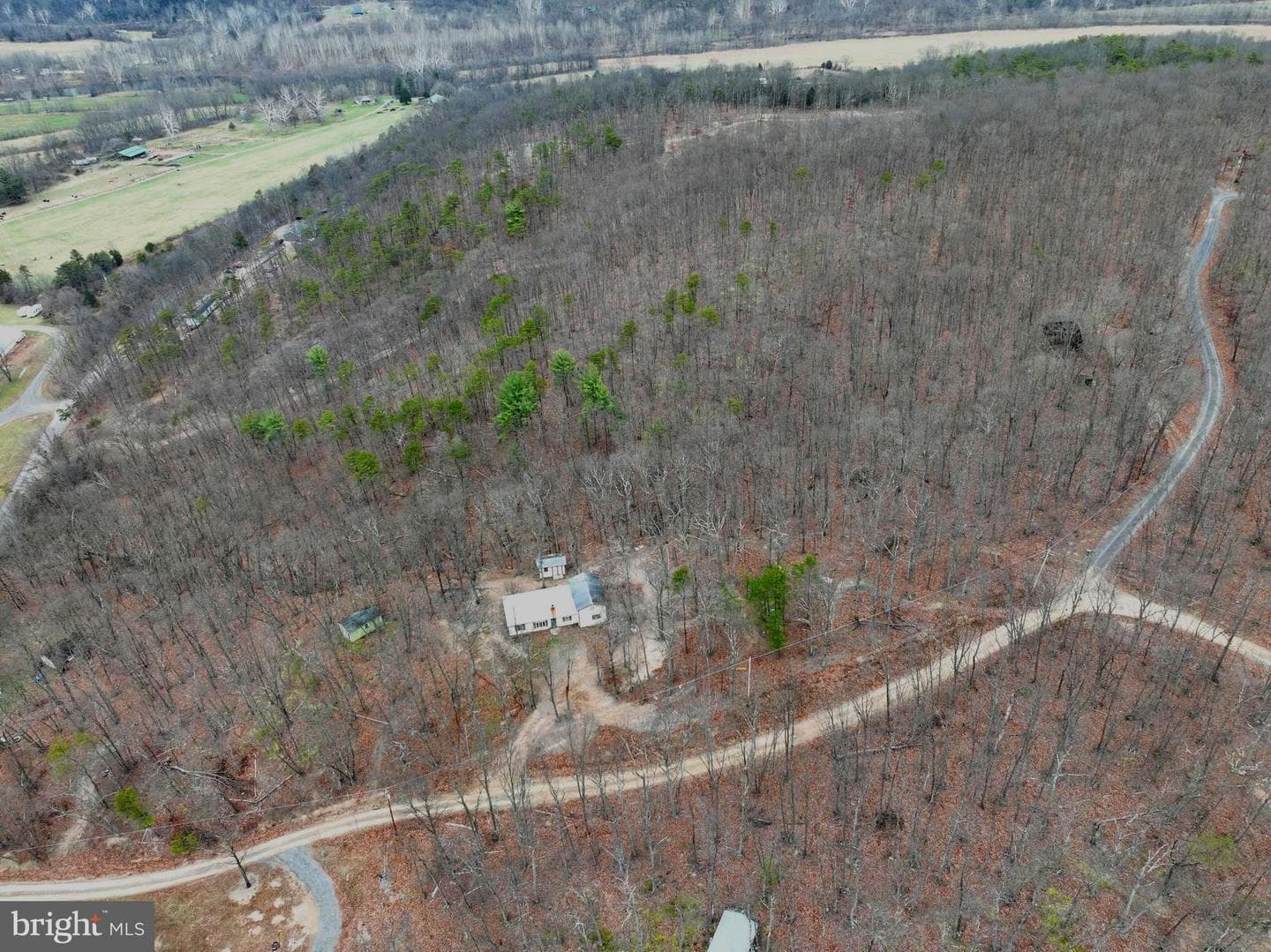 239 Bird Ridge Road photo 16