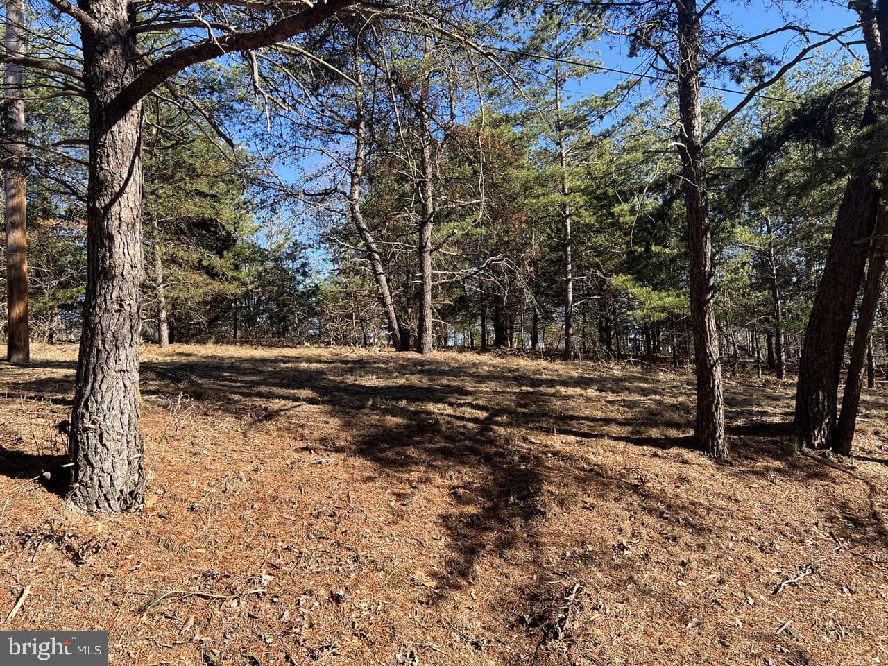 60 Angle Drive photo 66