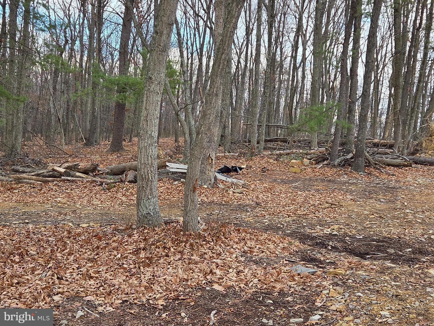 Lot 37 Sherman Drive photo 15
