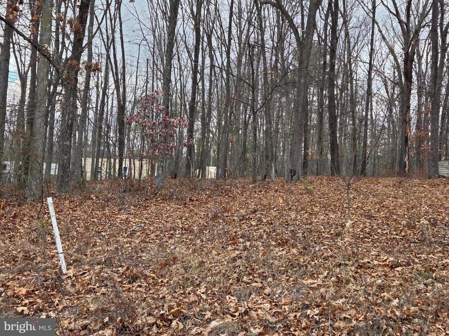 Lot 37 Sherman Drive photo 8
