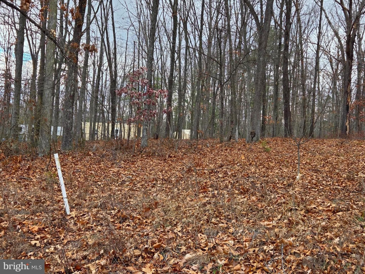 Lot 37 Sherman Drive photo 9
