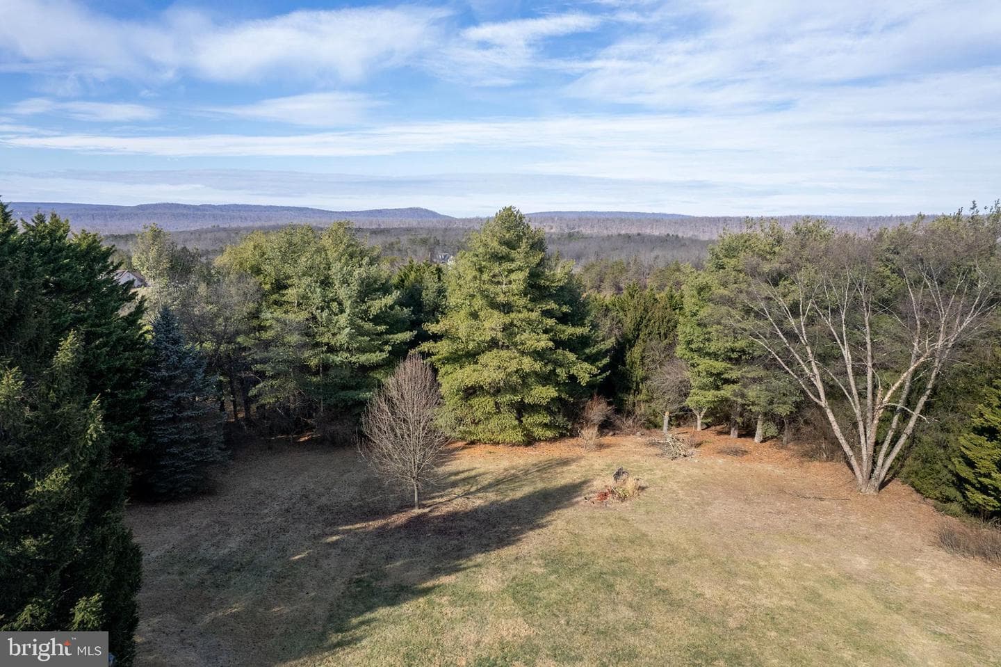 525 Timber Ridge Road photo 10