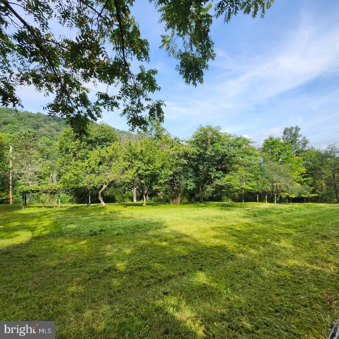 2445 Bear Wallow Hollow Road photo 18