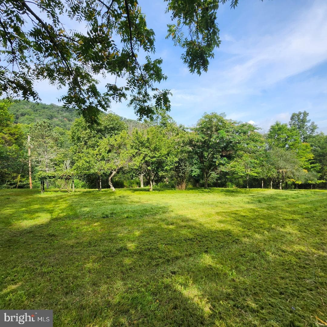 2445 Bear Wallow Hollow Road photo 19