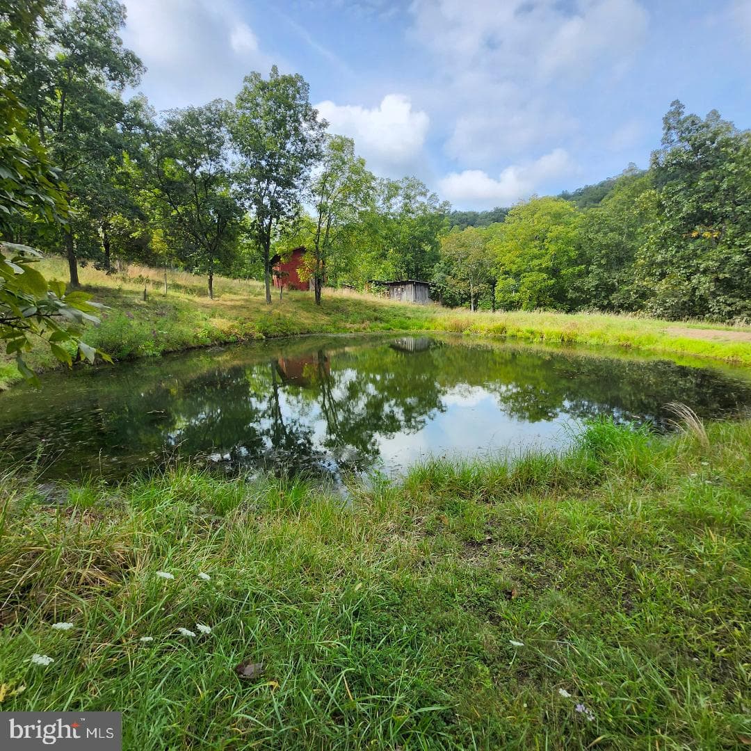 2445 Bear Wallow Hollow Road photo 20
