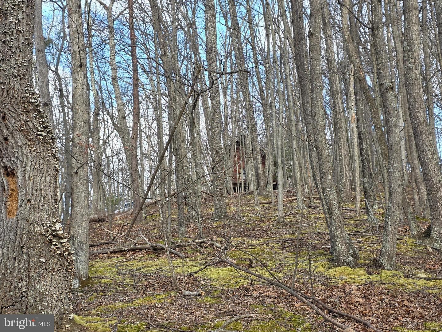 4605 Critton Owl Hollow Road photo 38