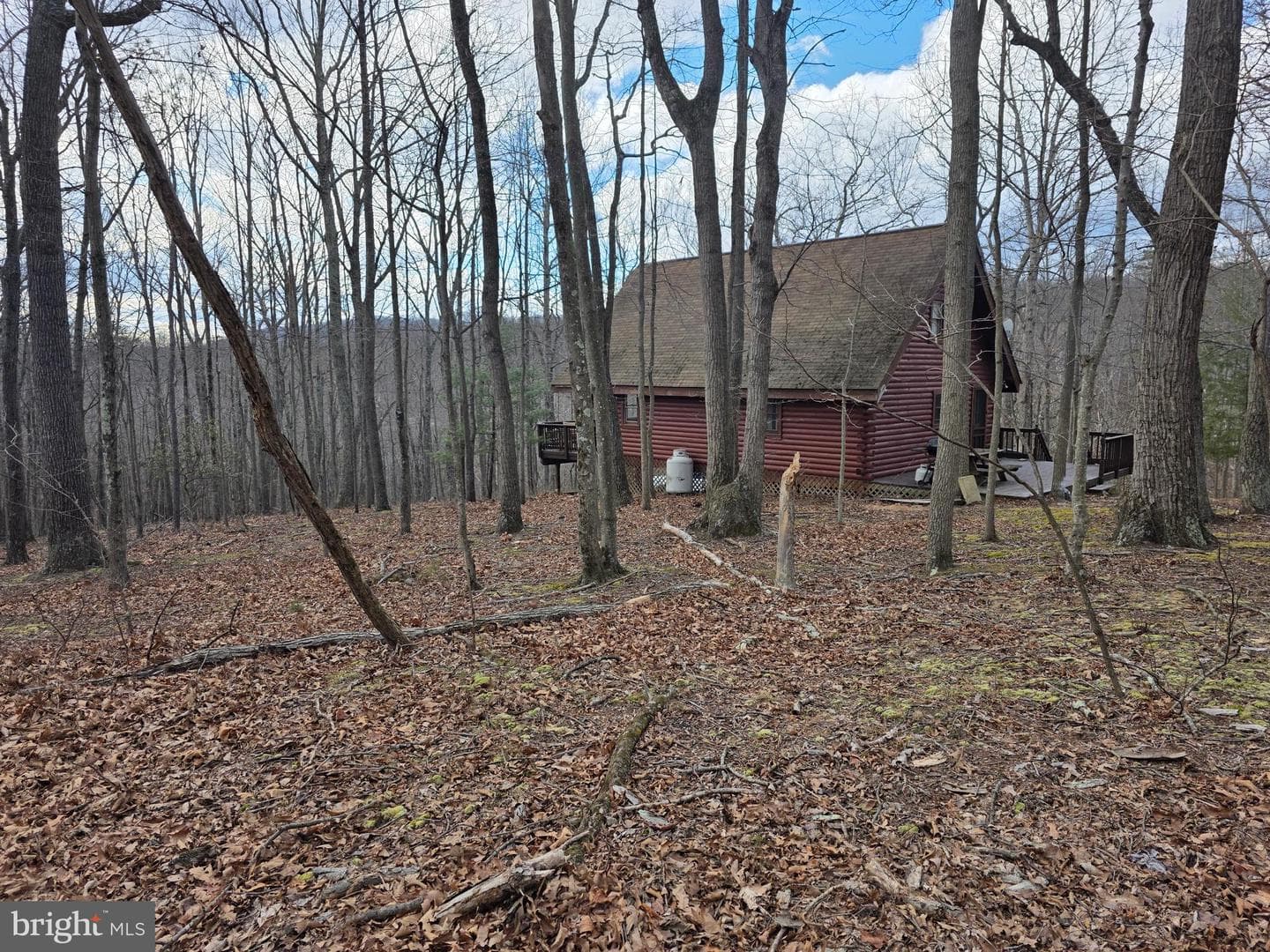 4605 Critton Owl Hollow Road photo 42