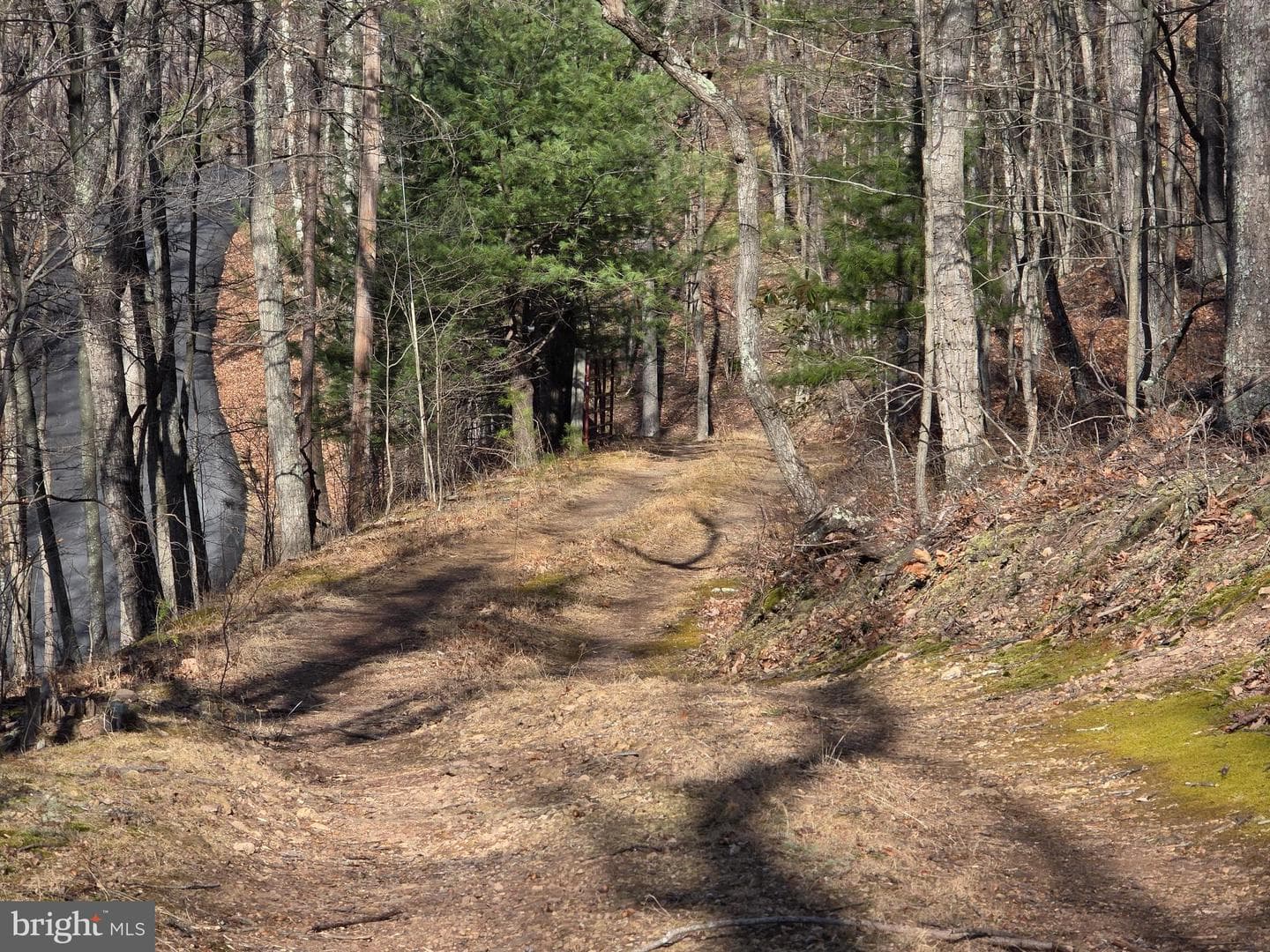 4605 Critton Owl Hollow Road photo 54