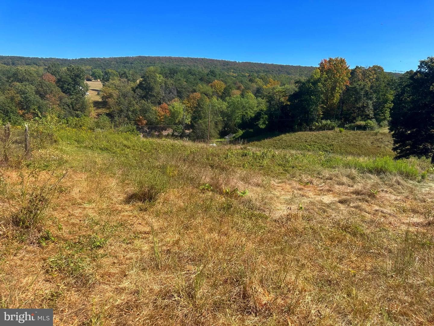 3500 Paw Paw Road photo 4