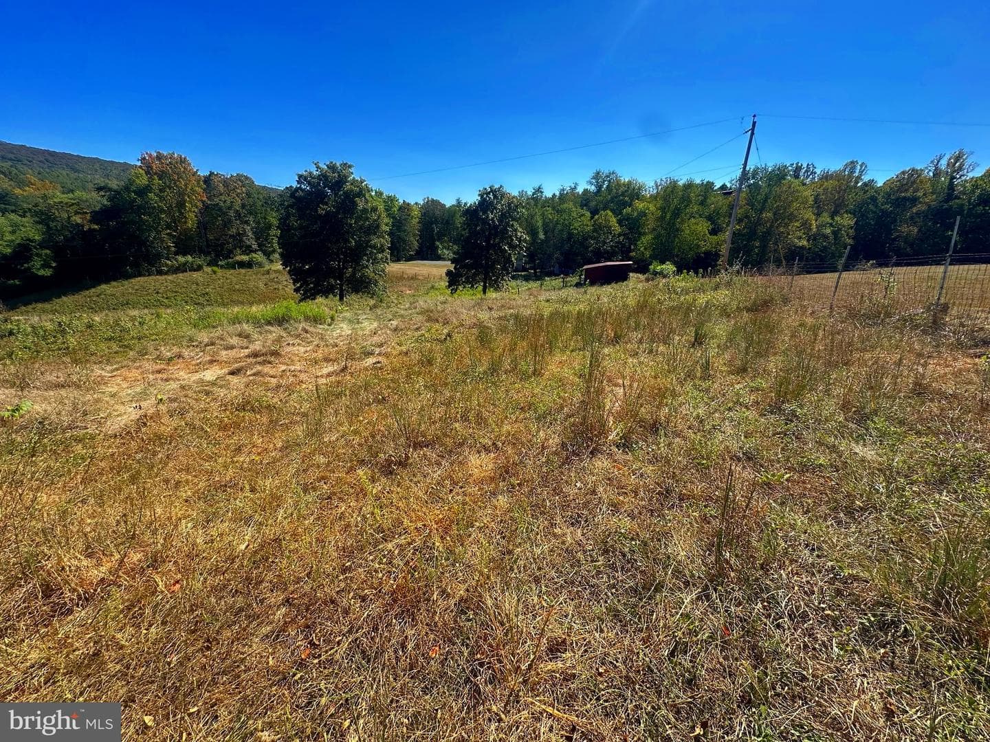 3500 Paw Paw Road photo 5