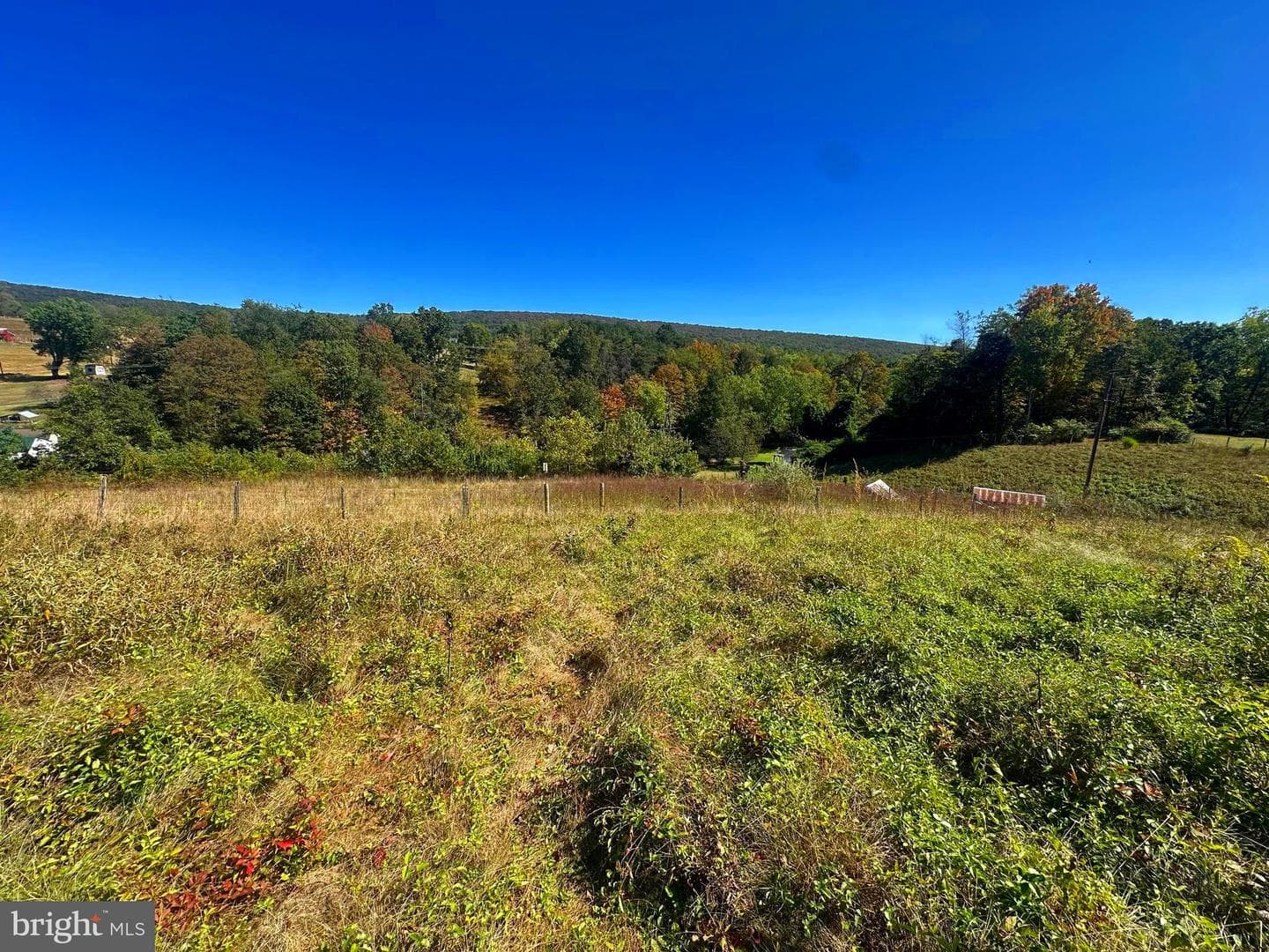 3500 Paw Paw Road photo 7