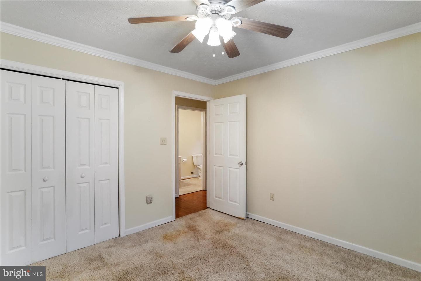 273 Hickory Lane photo 20