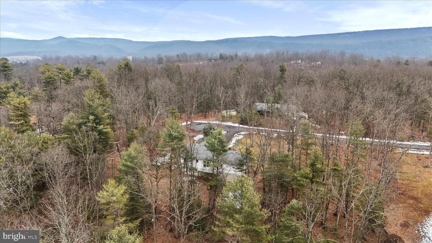 273 Hickory Lane photo 42