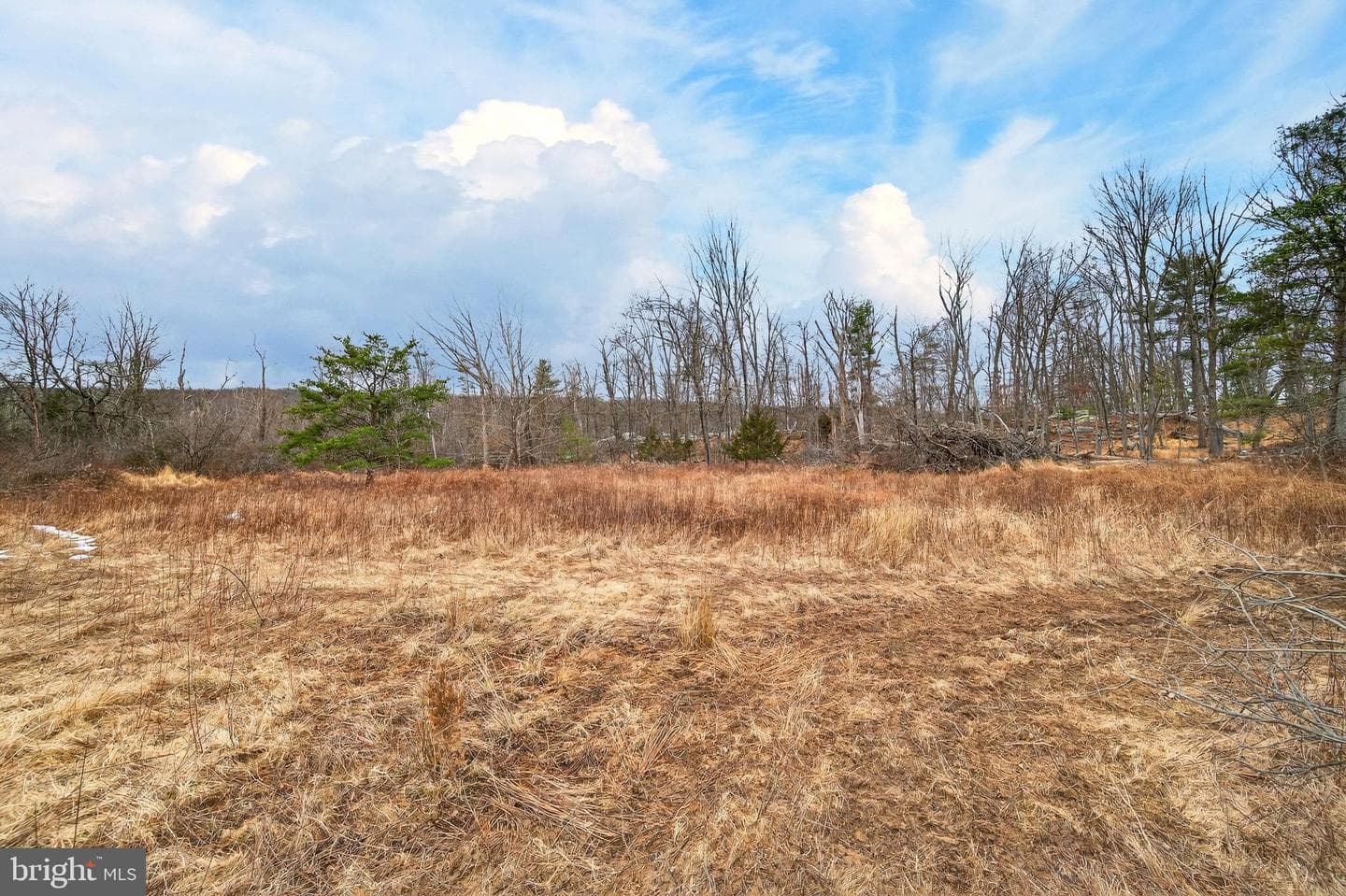 875 Buffalo Ridge Road photo 26