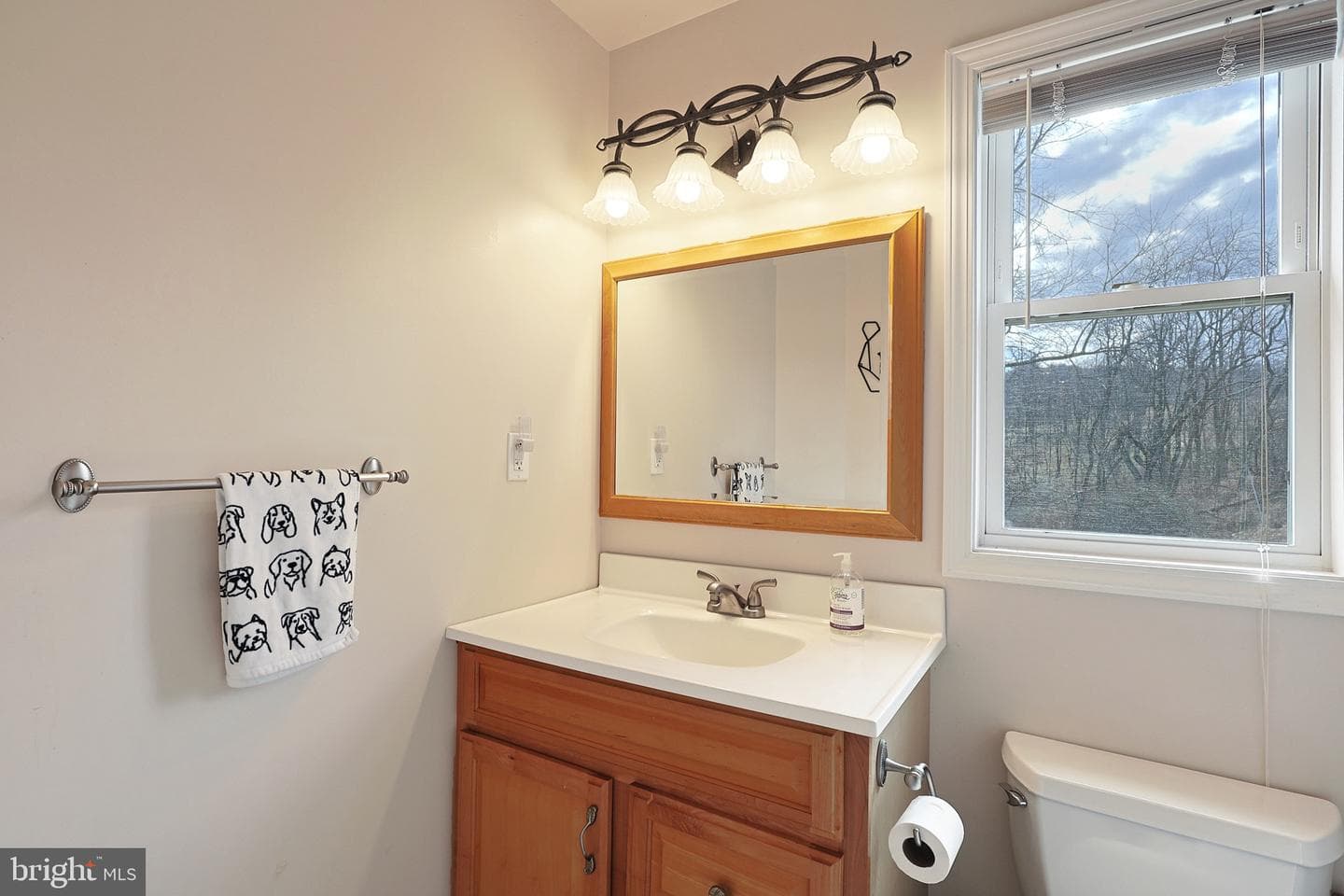 114 Nathaniel Drive photo 41