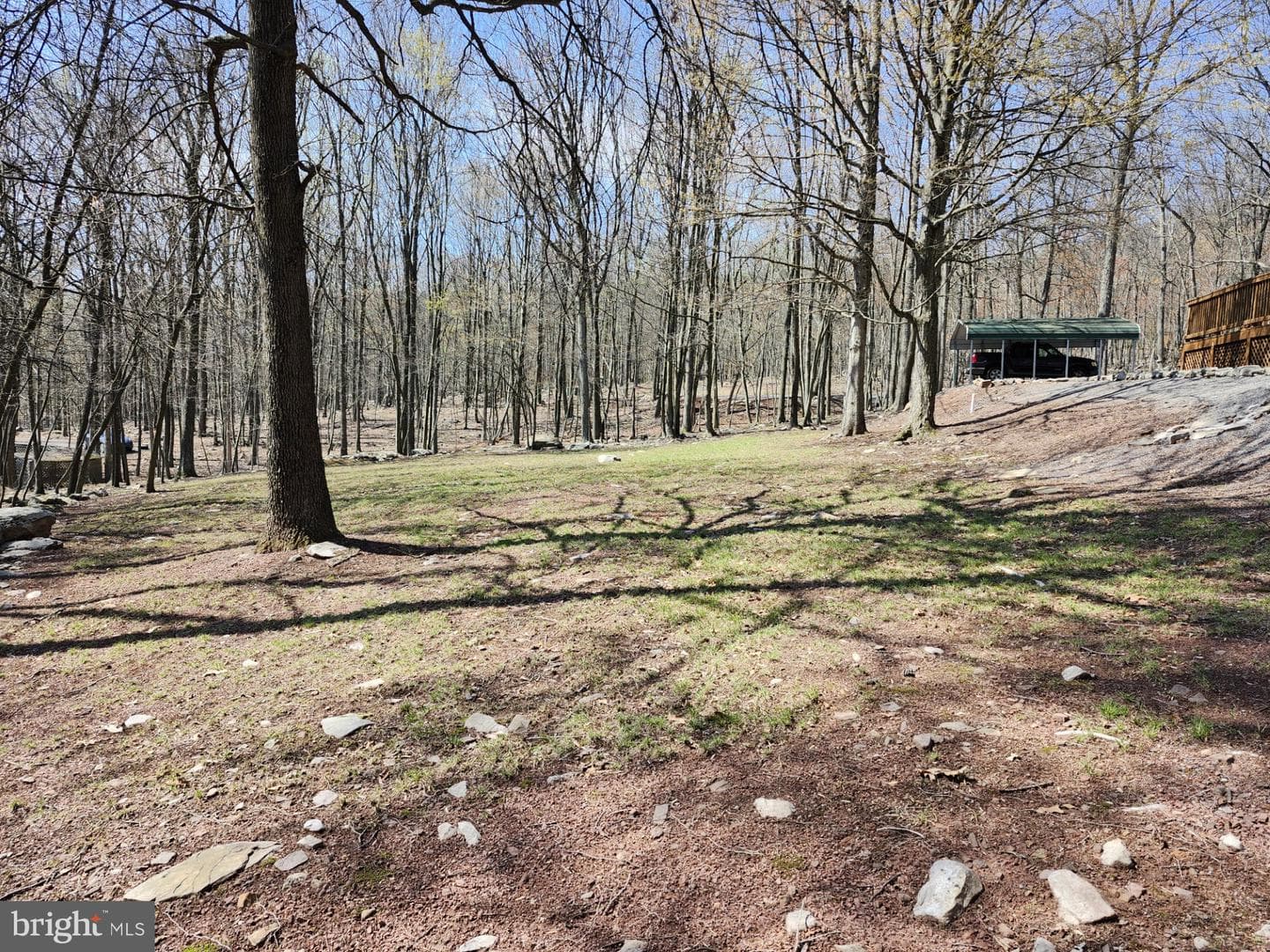 566 Wild Apple Lane photo 94