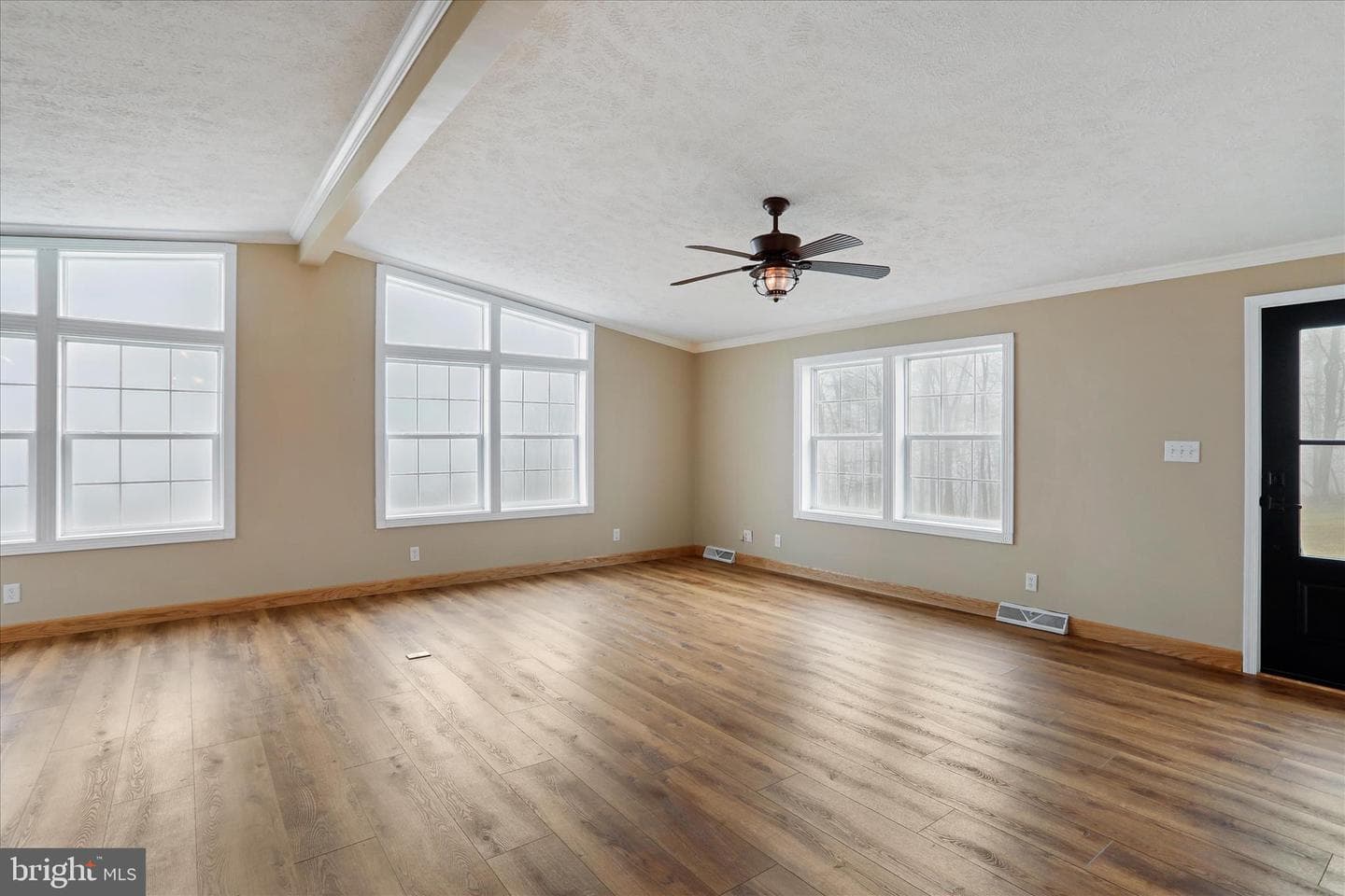 3688 Ash Ruckman Road photo 15