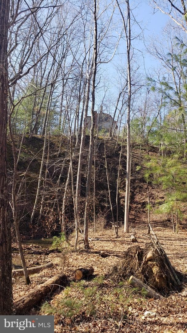 183 Wilson Road photo 12