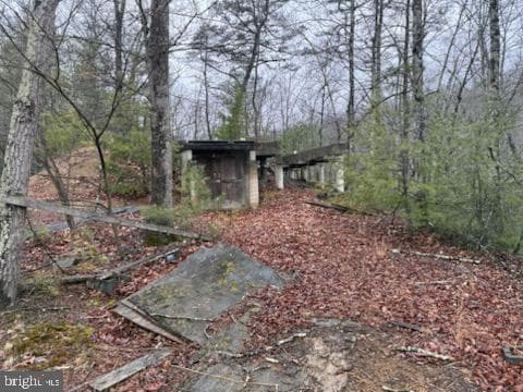 183 Wilson Road photo 5