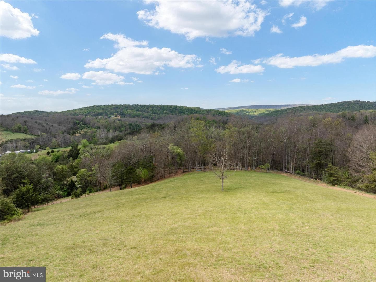 272 Buster Brown Dr. photo 100