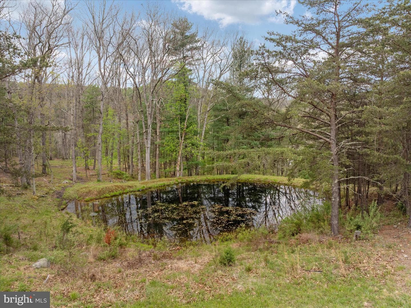 272 Buster Brown Dr. photo 108