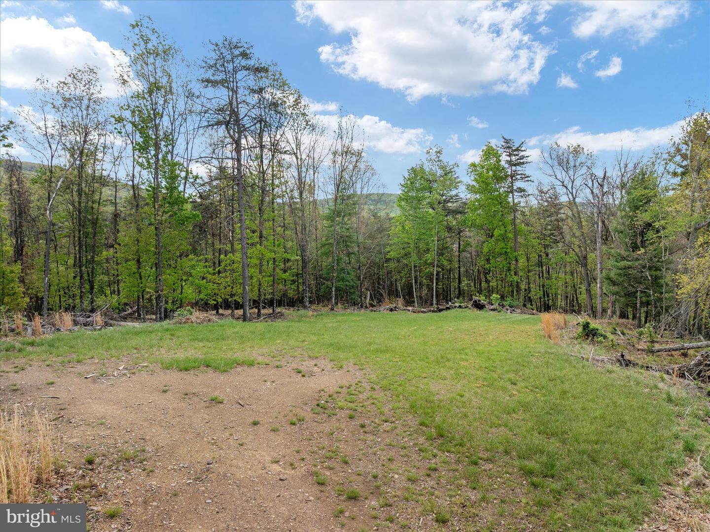 272 Buster Brown Dr. photo 95