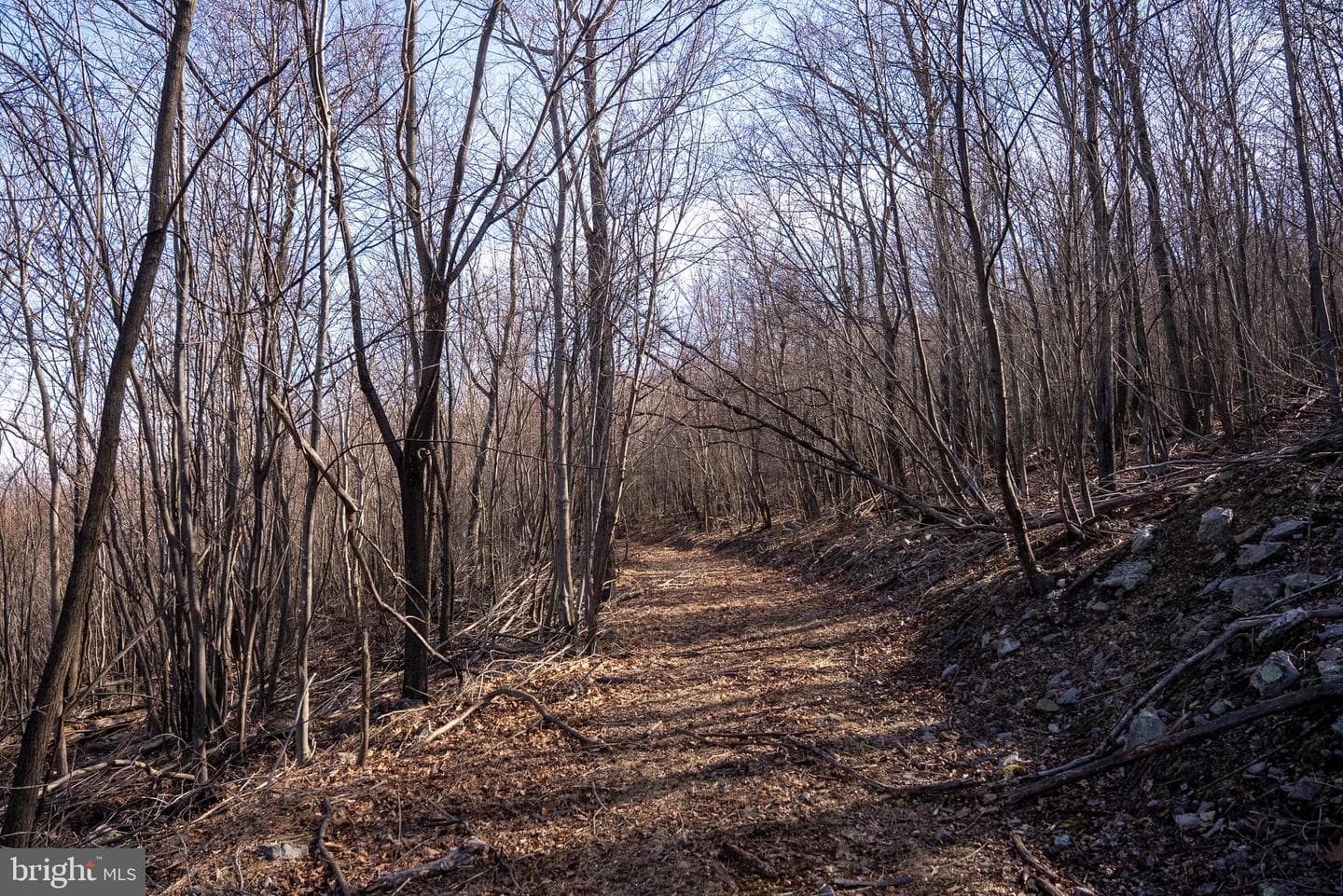 500 Lexington Drive photo 32