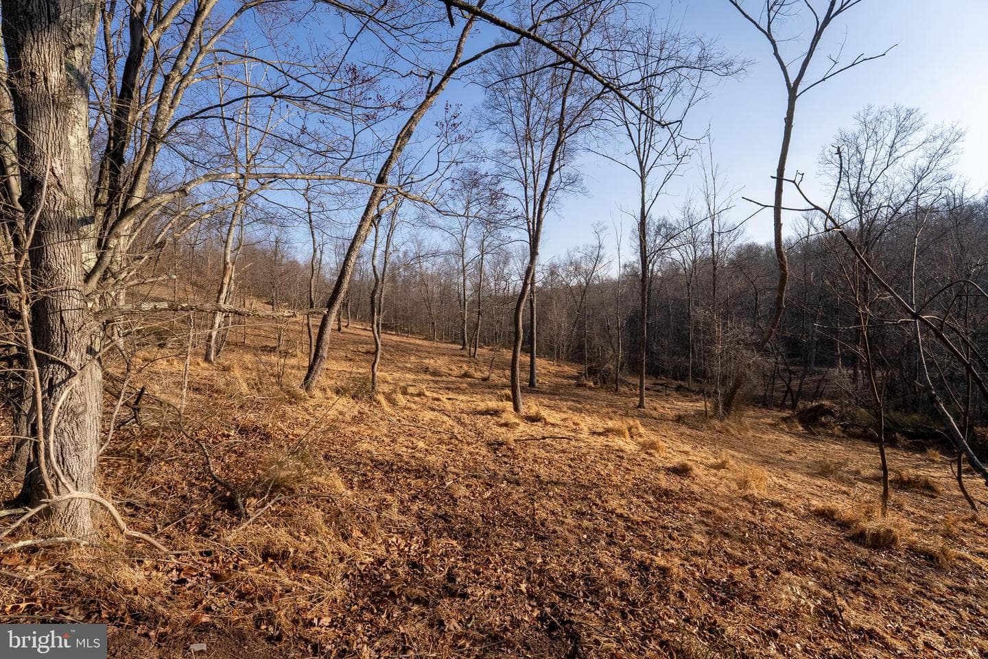 500 Lexington Drive photo 39