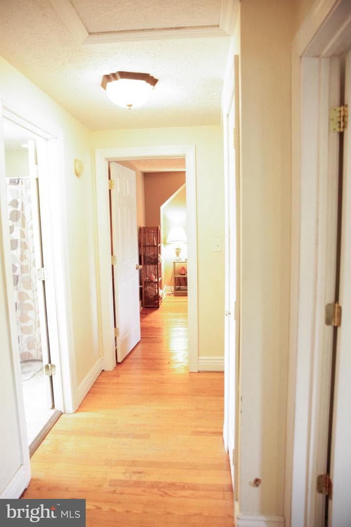 174 Armstrong Street photo 20