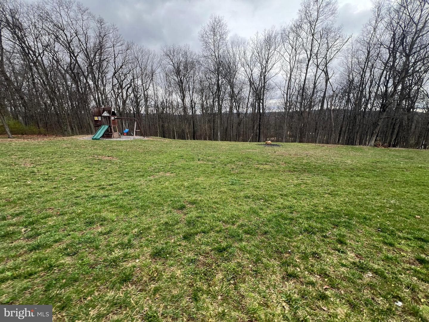 1127 Timber Ridge Road photo 6