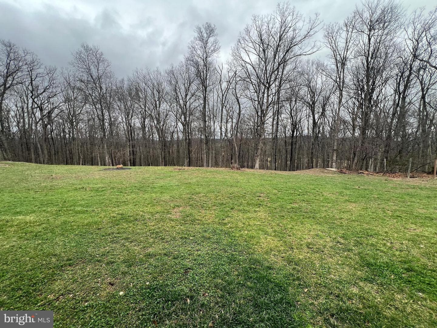 1127 Timber Ridge Road photo 7