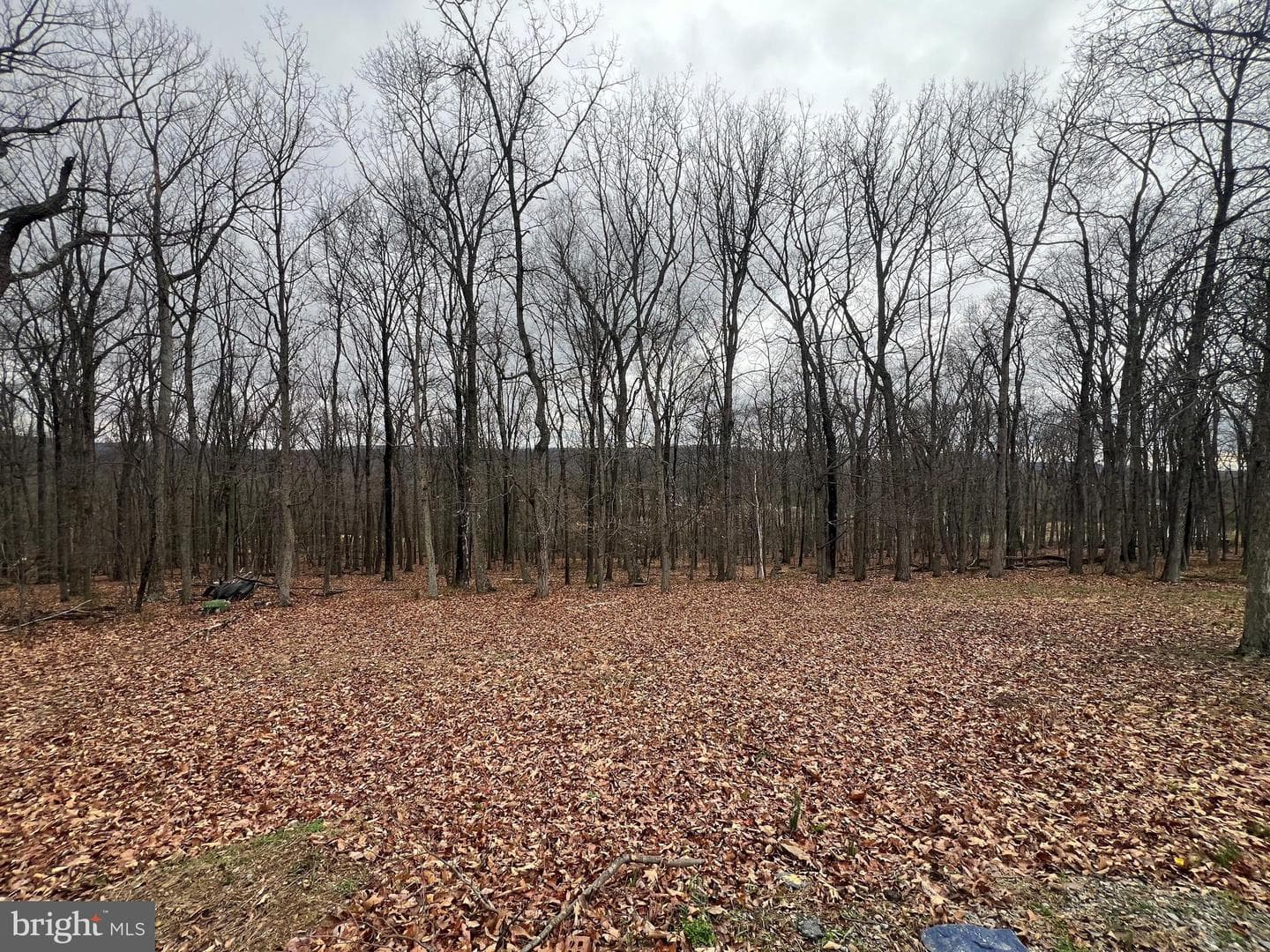 1127 Timber Ridge Road photo 8