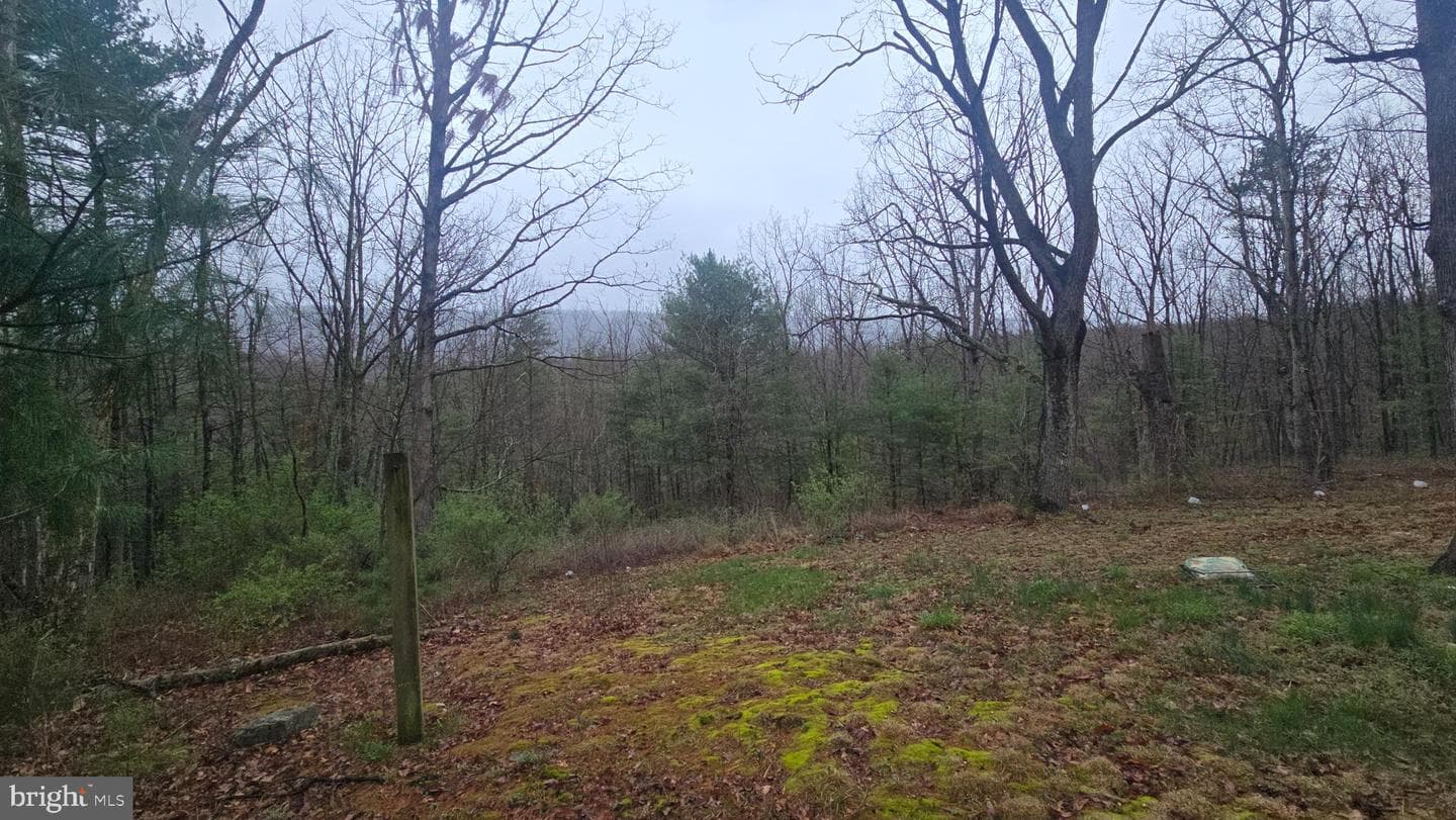 200 Davids Road photo 6