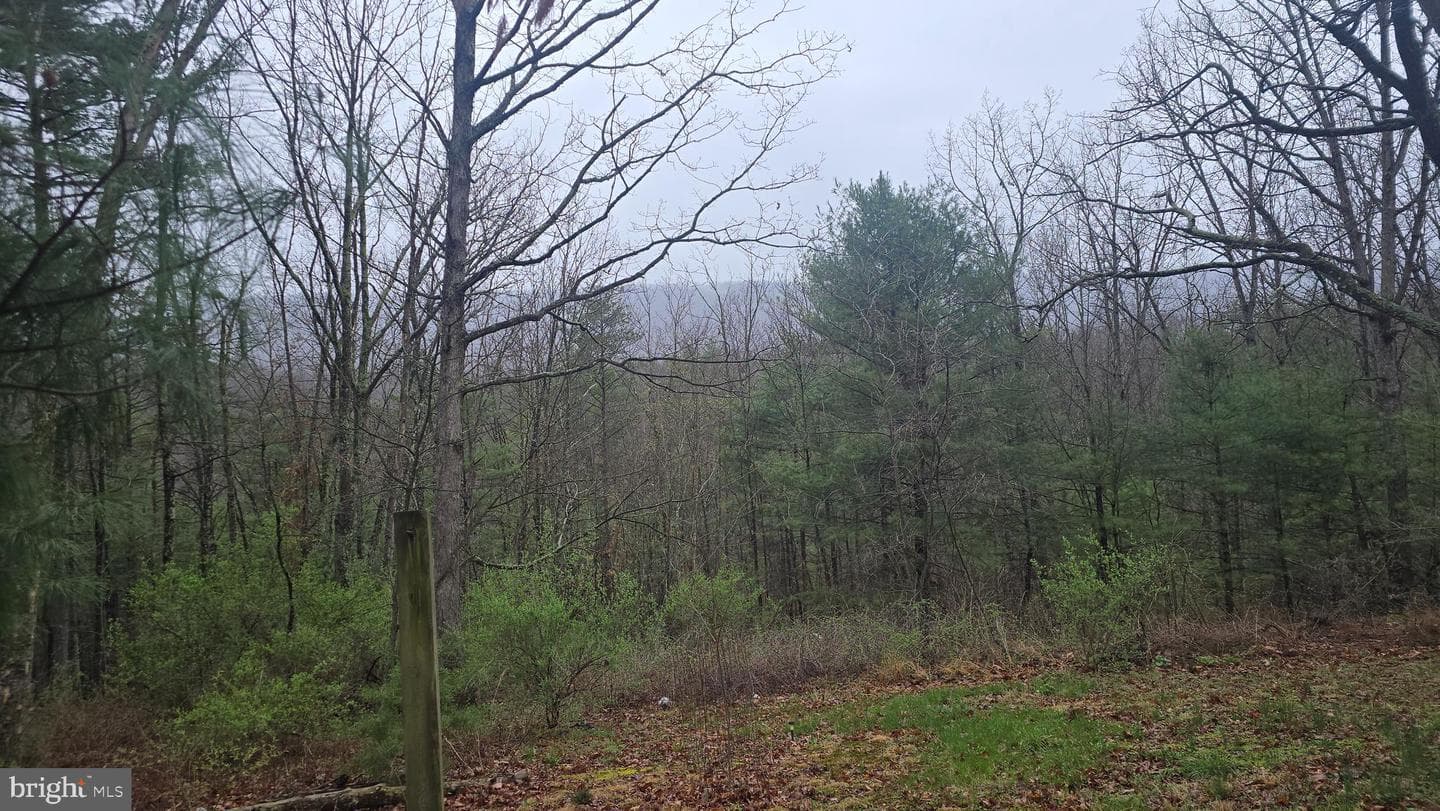 200 Davids Road photo 7