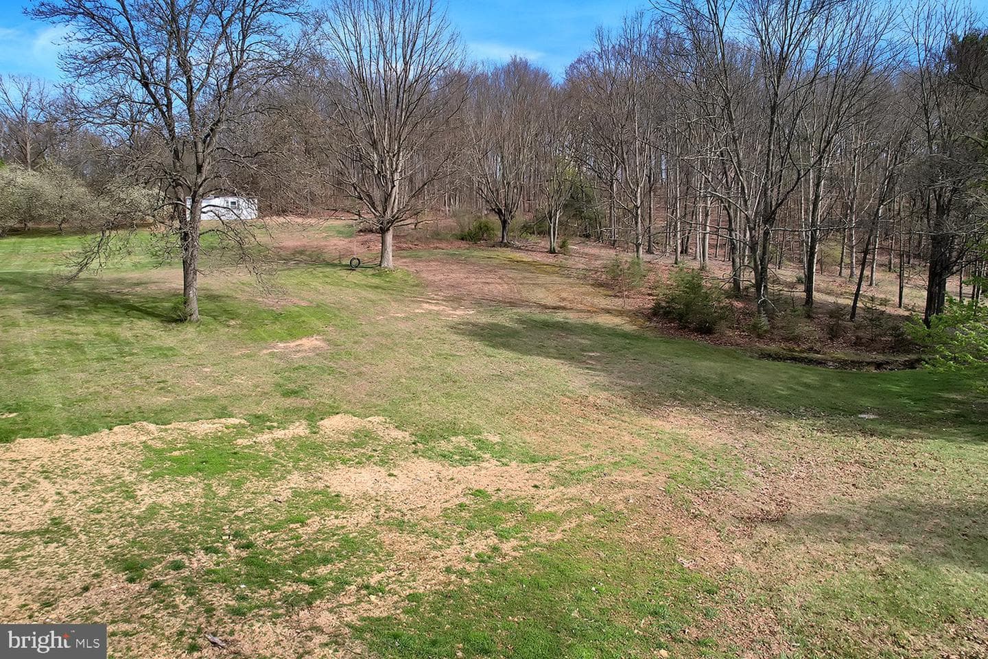 502 Sol Shanholtz Road photo 57