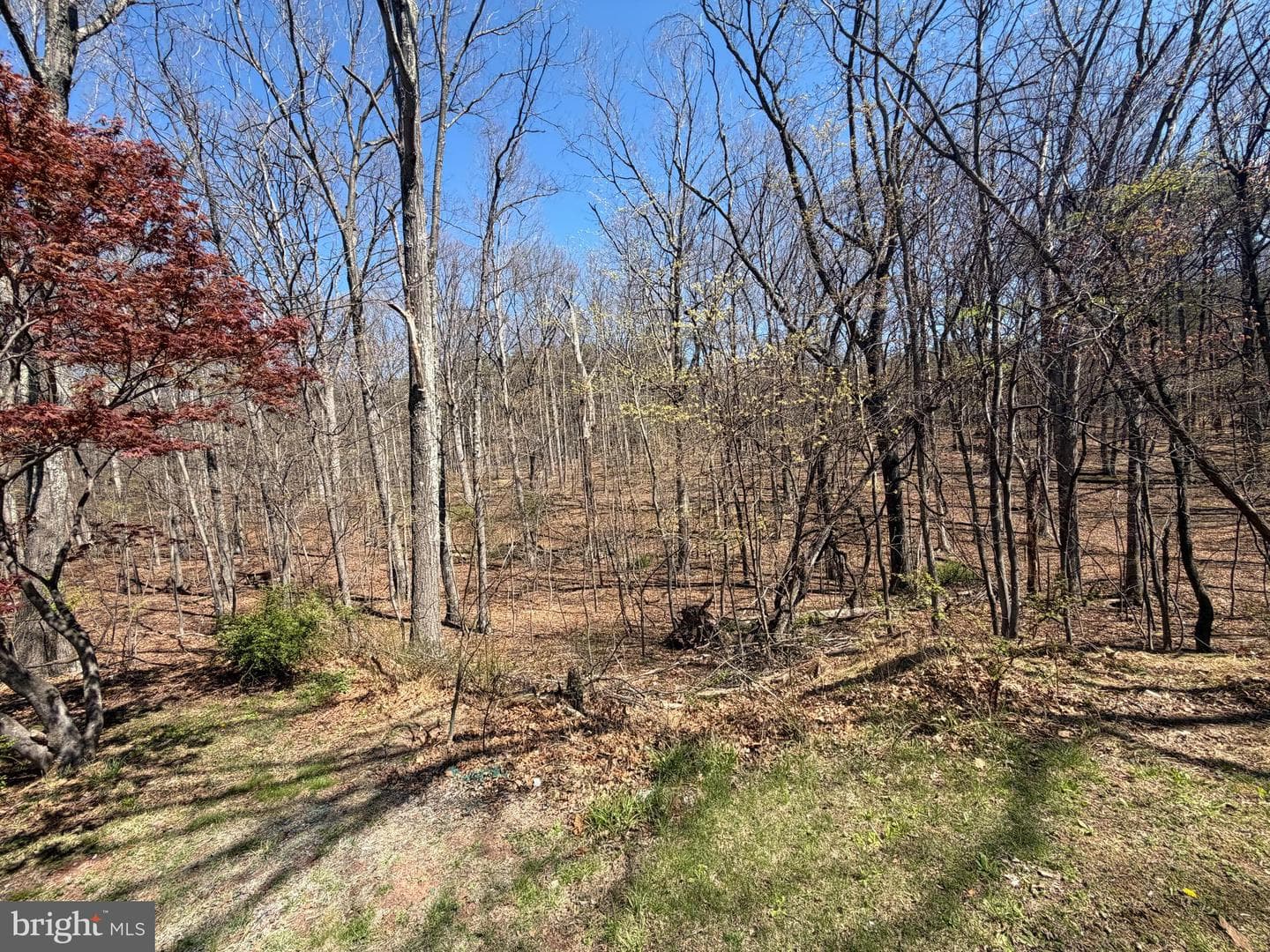 206 Mountain View Drive photo 6
