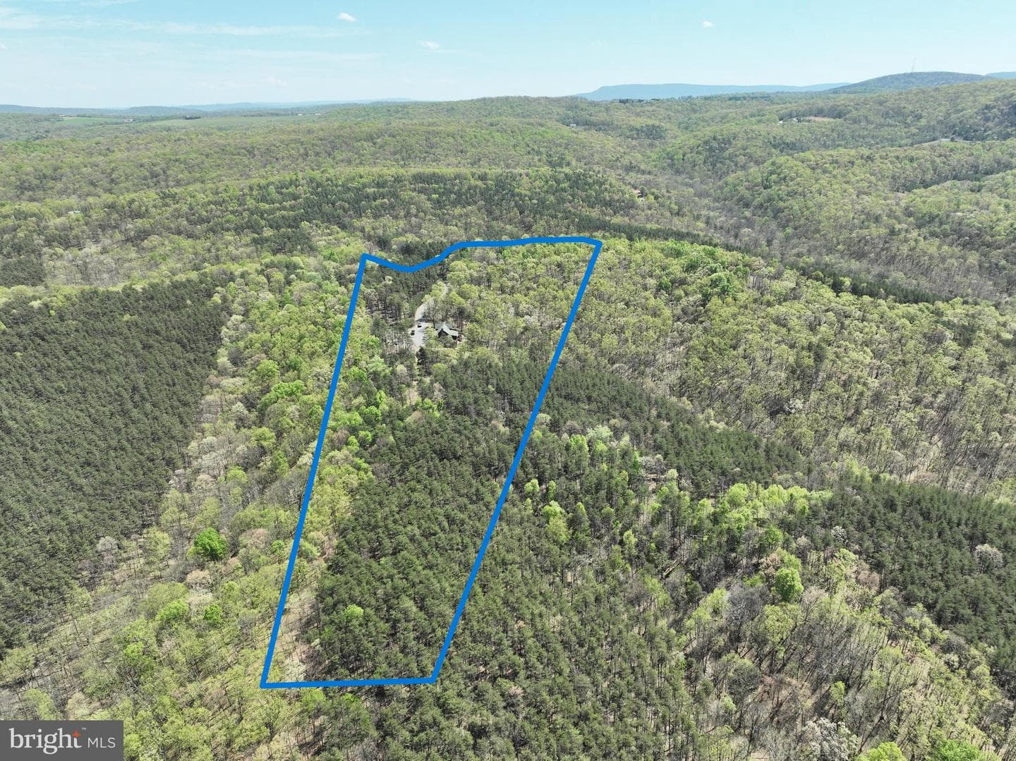 4 Parsons Ridge Road photo 58