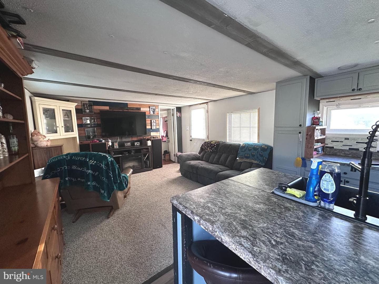 160 Stefanko Lane photo 12