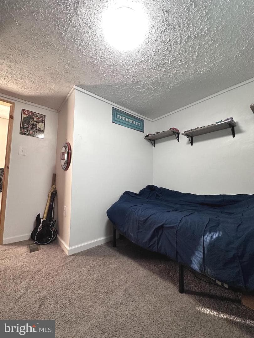 160 Stefanko Lane photo 24